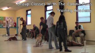 Beginners Basic Obedience Class [upl. by Jori]