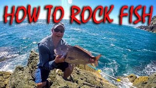 HOW TO STRAY LINE ROCK FISHING FOR SNAPPER KAHAWAI amp TREVALLY IN NZ [upl. by Ihskaneem21]