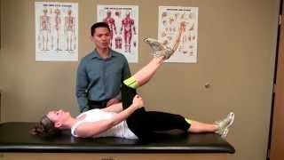 Hamstring Stretch Active [upl. by Merrili]