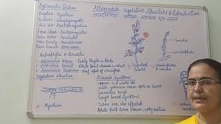 Alternaria Vegetative Structure and Reproduction BSc Part I Dr Vinod Kumari [upl. by Buford697]