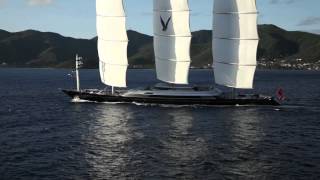 Maltese Falcon 2011 [upl. by Sokcin]