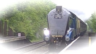 Bittern thrashes through Tackley [upl. by Hardden747]