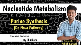 De Novo Synthesis Of Purine Nucleotides  Nucleotide Metabolism  Biochemistry Lectures [upl. by Dahle11]