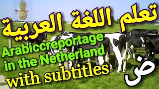 Arabic language for advanced learnersArabic reportage with subtitles in the Netherlands لغة عربية [upl. by Yuhas705]