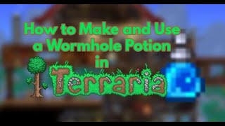 How to USE a wormhole potion on mobile 13 terraria [upl. by Liartnod]