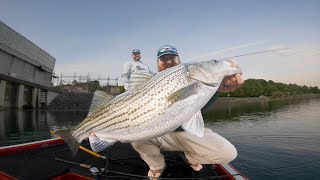 Multi Species Madness Fishing At The Dam [upl. by Ilenay191]