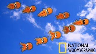 The Great Octoling Migration  National WoomyGraphic [upl. by Assiron773]