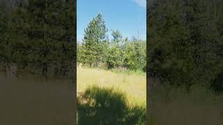 Beautiful 5 ac River Fontage home site [upl. by Maker]