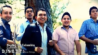 Néctar De Colombia  Corazoncito Video Oficial [upl. by Warde460]