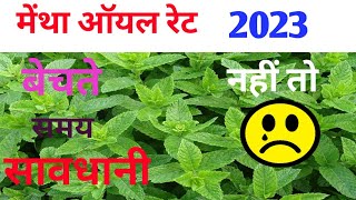 मेंथा ऑयल रेट 2023 मेंmentha oil rate today बेचने से पहले एक बार जरूर देखें [upl. by Ydnyl]