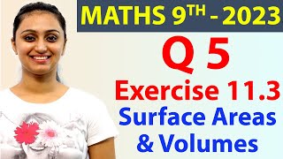 Q 5 Ex 113 Page No 147 Surface Areas amp Volumes  NCERT Class 9th Maths Solutions [upl. by Smart23]