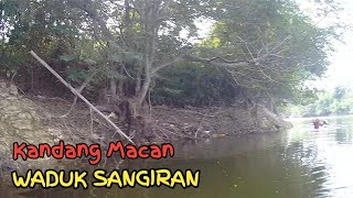 EXTRIM❗SPOT KANDANG MACAN WADUK SANGIRAN SANGAT HAUP [upl. by Towney934]