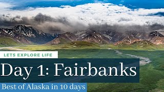 Things to do in Fairbanks Best of Alaska in 10 Days [upl. by Ahsratal]