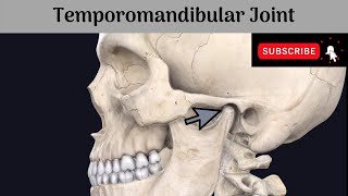 Temporomandibular Joint  Type  Variety  Articular Surfaces  Ligaments  Relations  NerveSupply [upl. by Esnohpla791]