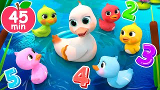 5 Little DucksLearn Colors Song  Newborn Baby Songs amp Nursery Rhymes [upl. by Hollie626]