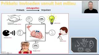 Zintuigen en prikkels thema 6 Zintuigen Biodam 13 [upl. by Brody144]