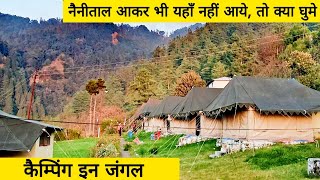 Sigri Jungle Camp  Pangot  Best place in Nainital for jungle camping [upl. by Aramaj]