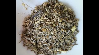 Wormwood Artemisia Absinthium Tea History Banned and Use [upl. by Ayaros680]