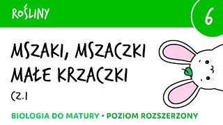 Mszaki cz1 mchy wątrobowce glewiki  budowa klasyfikacja rozmnażanie cykl życiowy  biologia [upl. by Winslow]