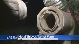 Metal Thieves Swipe Brass Valves From Lodi Cherry Farm [upl. by Berliner61]