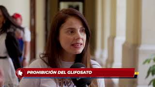 Prohibición del glifosato en Colombia  Sen Esmeralda Hernandez [upl. by Eenwahs]