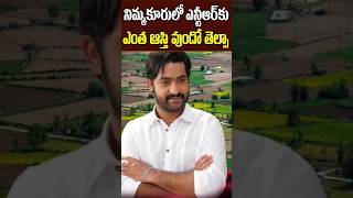 Jr NTR Lands and Net Value in Nimmakuru Village  Jr NTR Grand Fathers Home Town Tollywood Nagaram [upl. by Hardner]