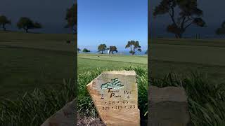 Torrey Pines [upl. by Ozzy]