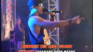 Arif Citenx  Bojo Galak  Dangdut Official Music Video [upl. by Ilegna489]