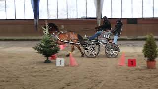 Fahrturnier Heiden Sicon Cup 712024 [upl. by Elisha311]