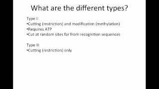 Restriction Enzymesmp4 [upl. by Assiluj196]