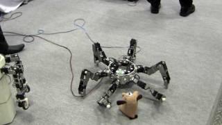 Cool Spider Robot at Tokyo International Robot Exhibition Nov 2011 1701 [upl. by Robbyn]