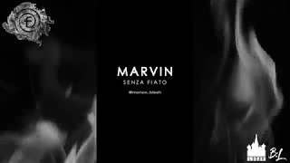 Marvin  Senza Fiato CONTEST MASTERFLOW [upl. by Llovera858]