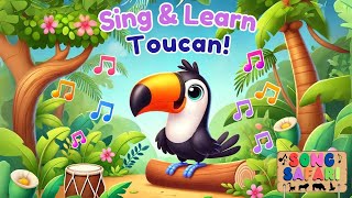 Toucan Time  Colorful Jungle Bird Song for Kids  Learn amp Sing Along  Song Safari [upl. by Hcaz103]