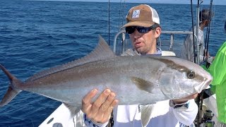 Epic Topwater Amberjacks and Huge Bull Sharks [upl. by Rosaleen93]