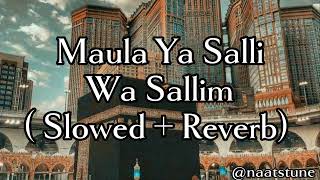 Maula Ya Salli Wa Sallim  slowed amp reverb [upl. by Olsson582]