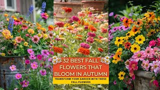 32 Best Fall Flowers that Bloom in Autumn [upl. by Sadie]