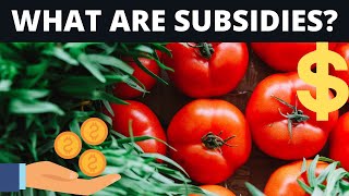 What Are Subsidies Useful For [upl. by Dalpe]