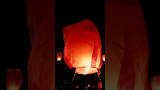 Part Of Moment Dieng Culture Festival 2024 quotBack To Journeyquot diengculturefestival Lampion [upl. by Yeo]