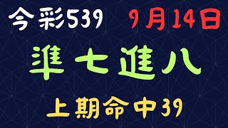 今彩539｜準七進八｜少年狼539｜9月14日｜上期命中39 [upl. by Kristo]