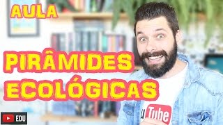 Pirâmides Ecológicas  Ecologia  Biologia com Samuel Cunha [upl. by Nnelg203]