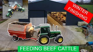 WINTER FINISHING FEEDING BEEF CATTLE [upl. by Johna]