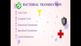 BACTERIAL TRANSDUCTION [upl. by Tait]