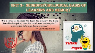 Unit 3 MPC001 Neuropsychological Basis of Learning amp Memory  Introduction Block 1 ignou Part 1 [upl. by Eremahs]