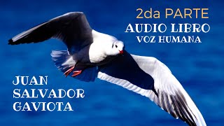 JUAN SALVADOR GAVIOTA 23 PARTES AUDIO LIBRO VOZ HUMANA [upl. by Anilem]