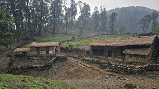 Life in Remote Village of Nepali Mountain Life in Nepali Village Life in Summer Rural Life Nepal [upl. by Heidie]