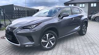 Lexus NX 300h Executive 4WD Mark Levinson Matrix LED [upl. by Couture528]