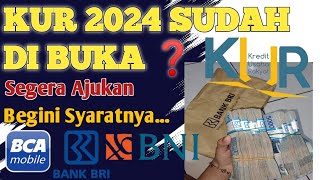 RESMI  PENYALURAN KUR 2024 SUDAH DIBUKA  Begini persyaratannya dan cara daftarnya ❗ [upl. by Eneloj]