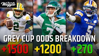 Which Team Has the Best Odds to Win the Grey Cup in 2024 [upl. by Oretos815]