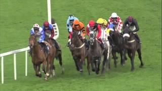 JLT Long walk Hurdle  Thistlecrack Racing TV [upl. by Yorick]