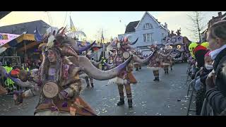 AKV De Schoitkitten Opwijk carnaval 2024 [upl. by Eremaj449]